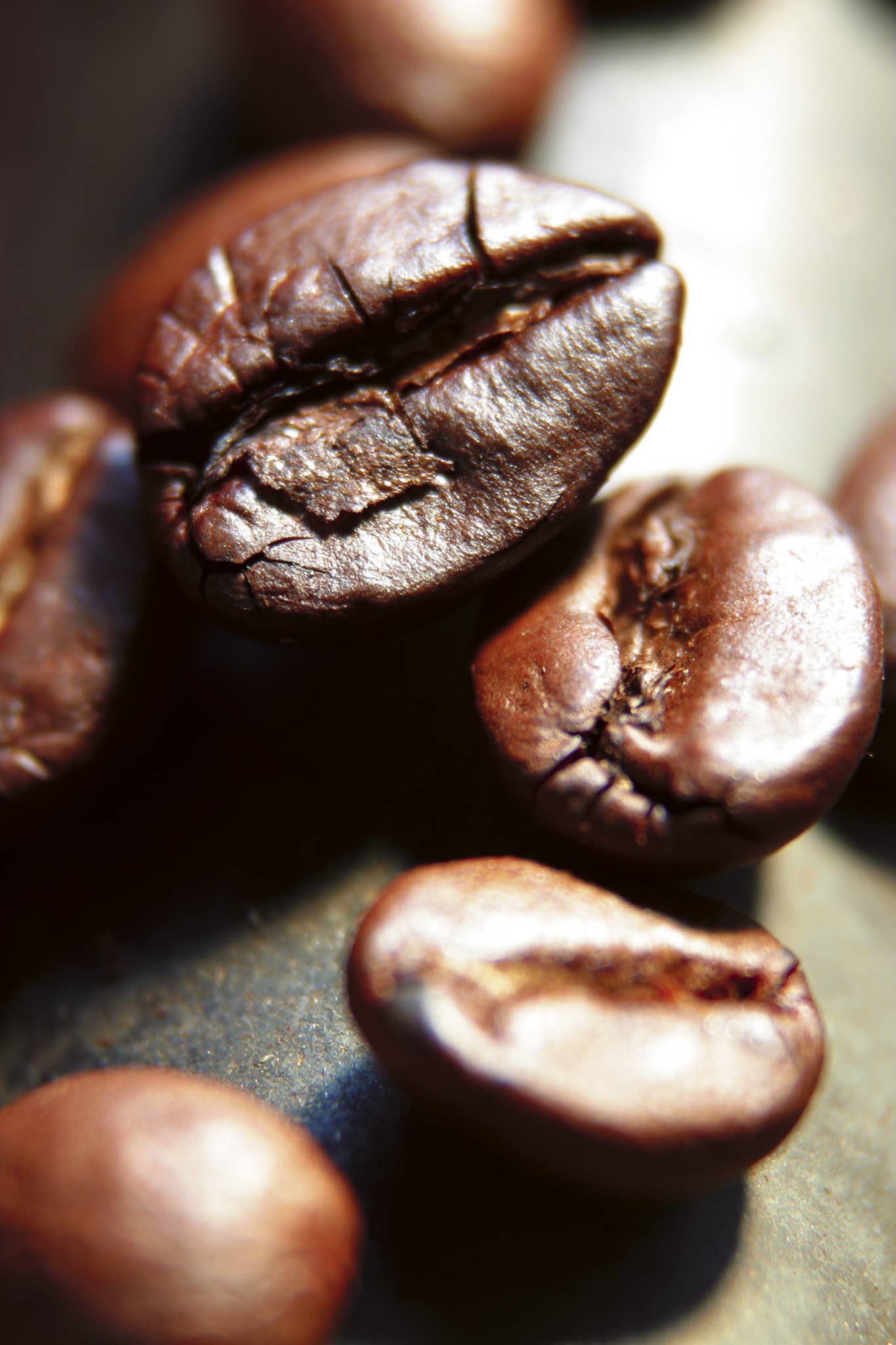 Gourmandise - Wholesale Coffee Beans - Coffee Beans Colombia Compagnia dell´Arabica 250 g.3