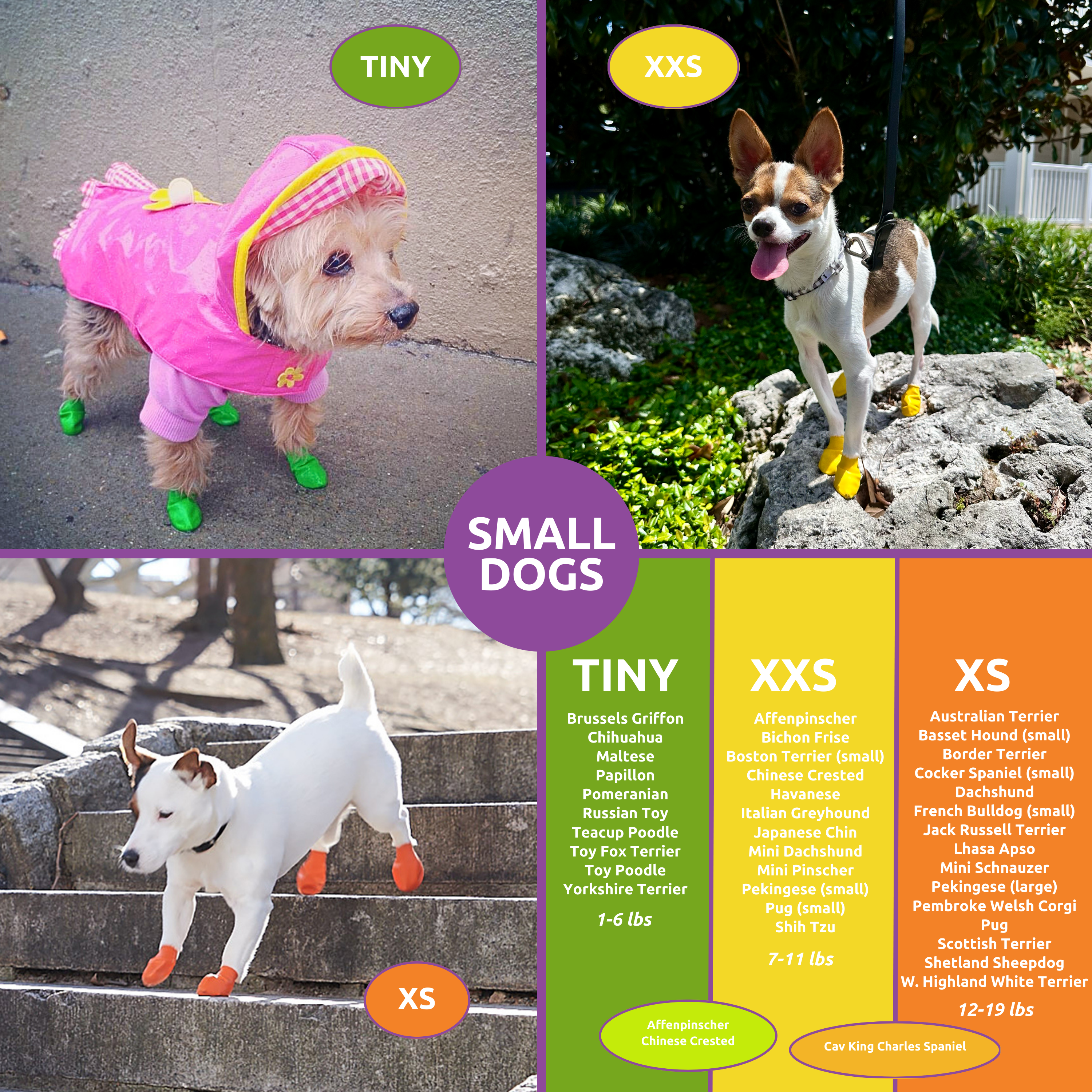 Downtown Pet Supply – wholesale Pet paw protection – PawZ Rubber Dog Boots, 12 Boots10