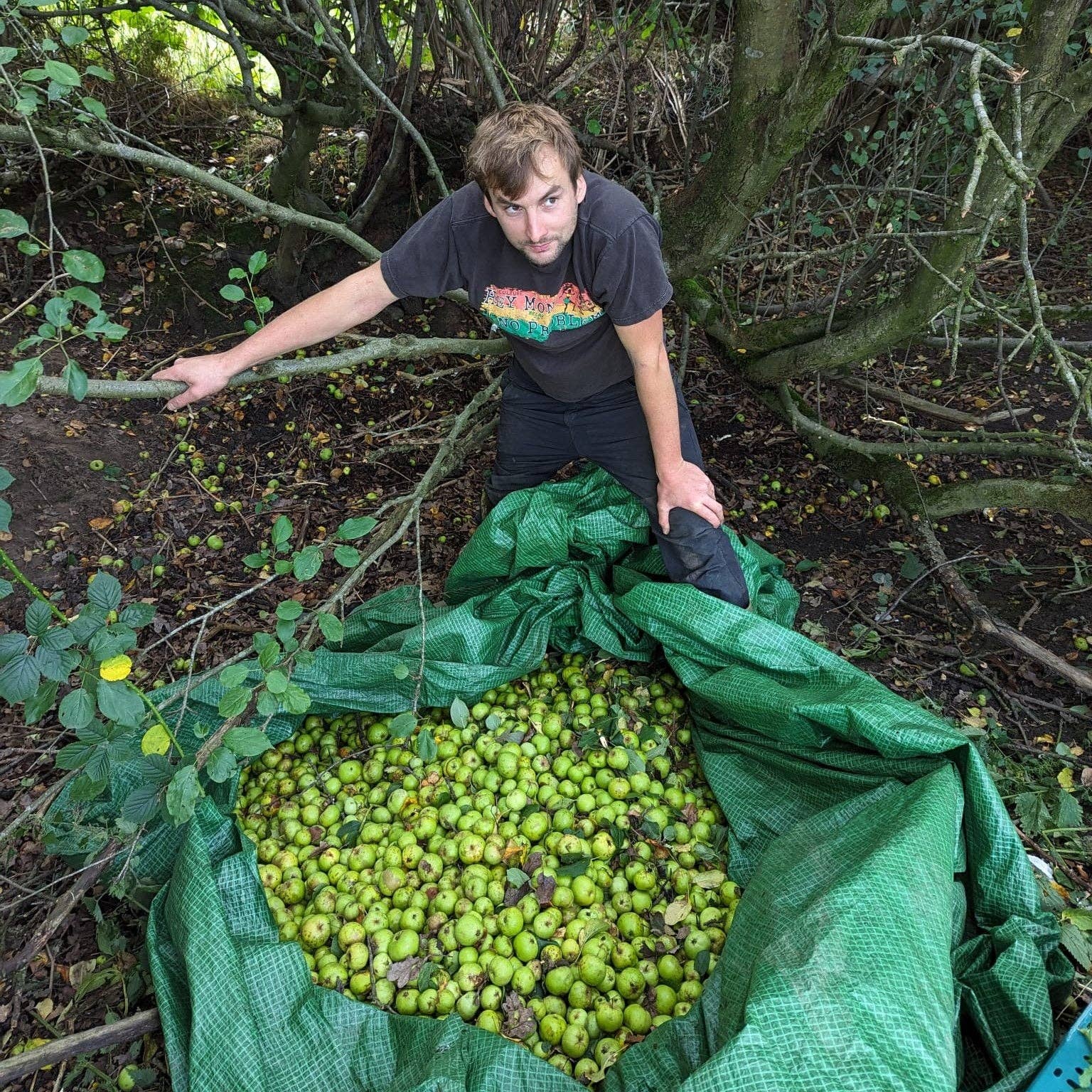 Fruits of the Forage – wholesale Jam/jelly – Crab Apple Chilli Jam1