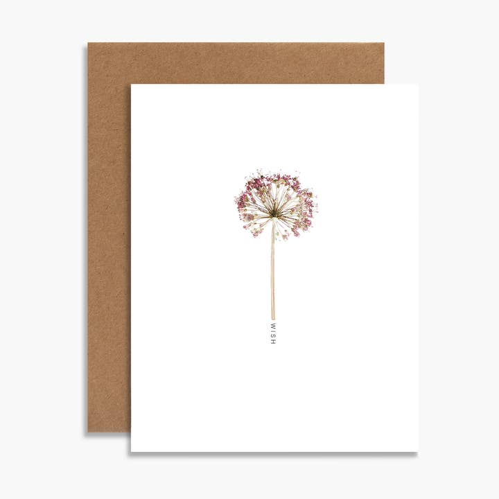 Wish Botanical Happy Birthday Card Pressed Dandelion Image for wholesale by Souvenir Stationery
