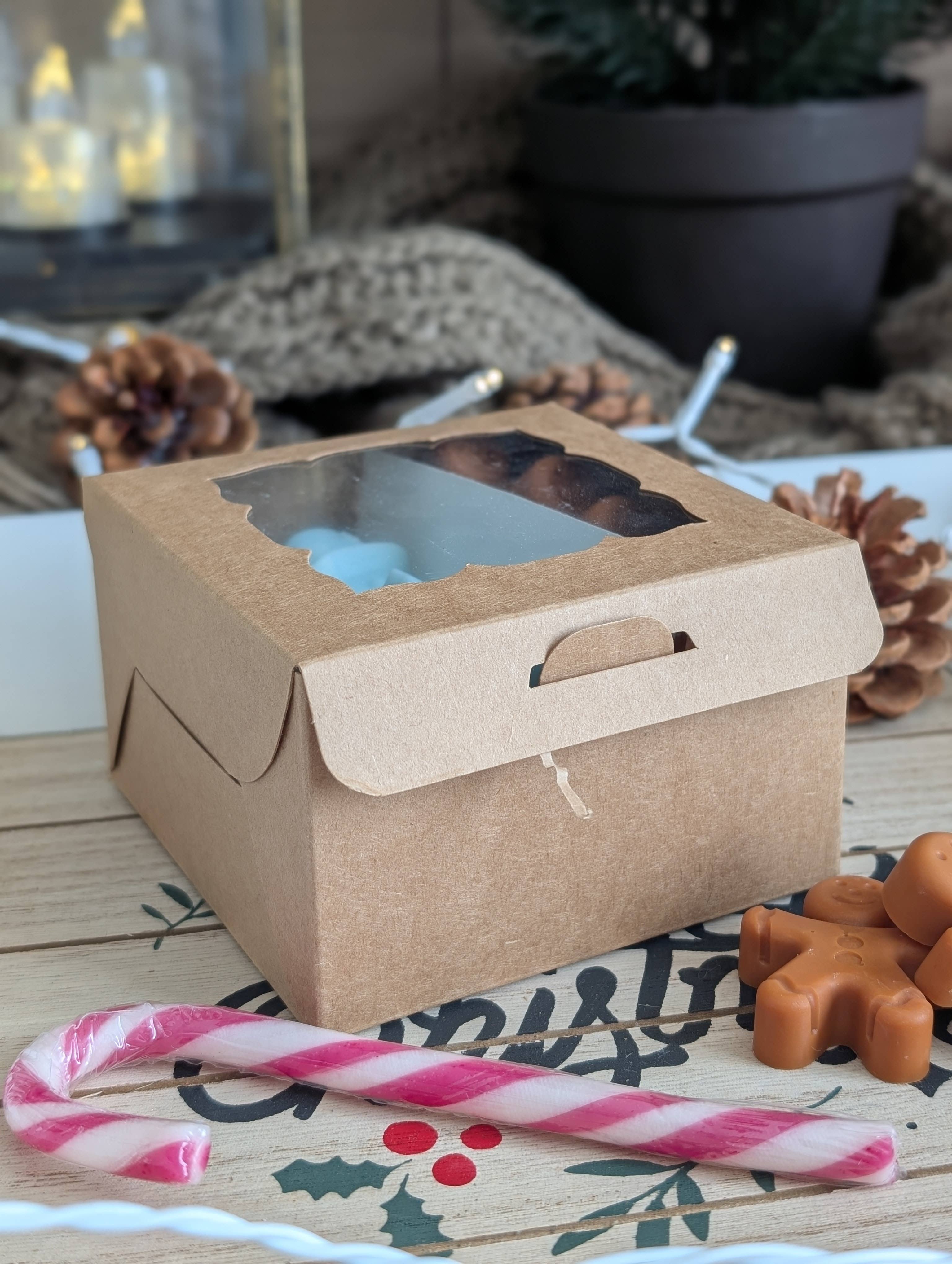 Les bougies Burgondes - Wholesale Wax Melt - Box of 10 Christmas scented melts2