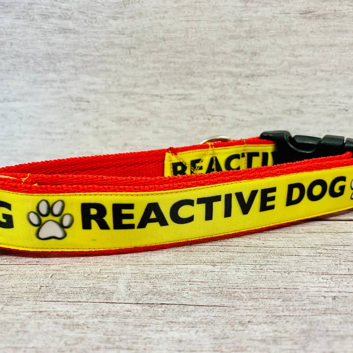 Collari reattivi per collare per cani **Keep Away** ANSIOSO per la vendita all'ingrosso da parte di Dottie's Pet Boutique