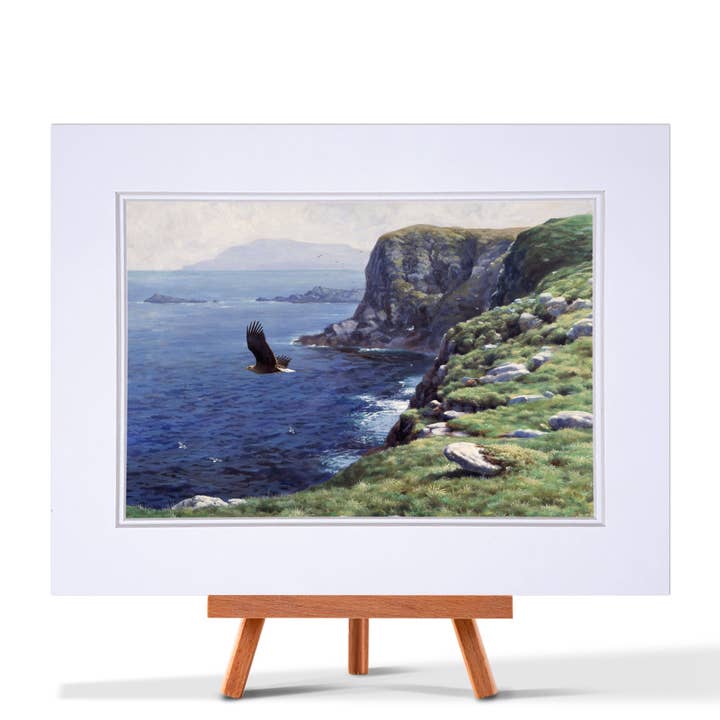 Hvid-Tailed Eagle Fin Art Print for engroshandel hos Julian Friers Wildlife Art & Gifts