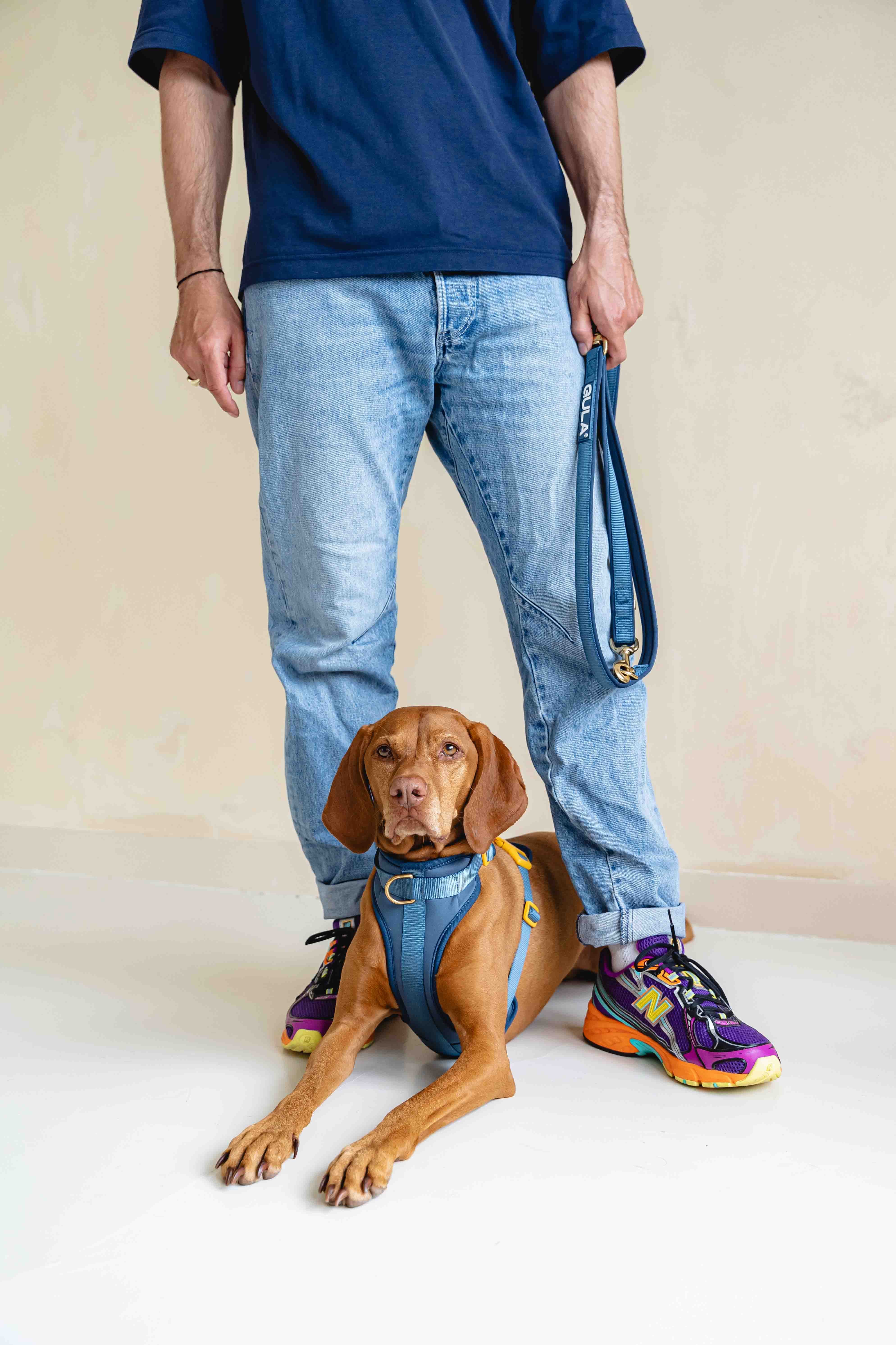 GULA DOG CARE – Großhandel Haustiergeschirr – Hund – Hundegeschirr NEU - Blau & Gelb6