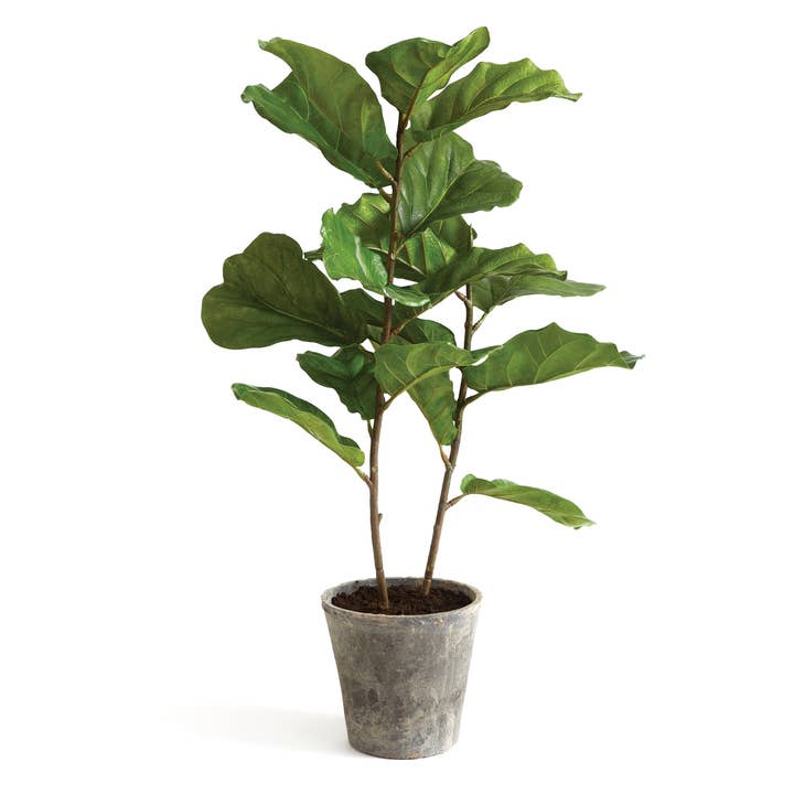 Napa Home & Garden - Wholesale Artificial Plant - Fiddle Leaf Fig Potted 43"