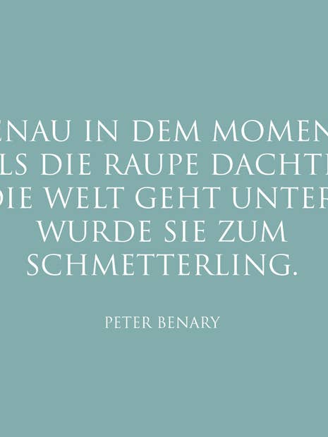 Postkort "sommerfugl" for engroshandel hos WUNDERWORT by Angela Gwinner