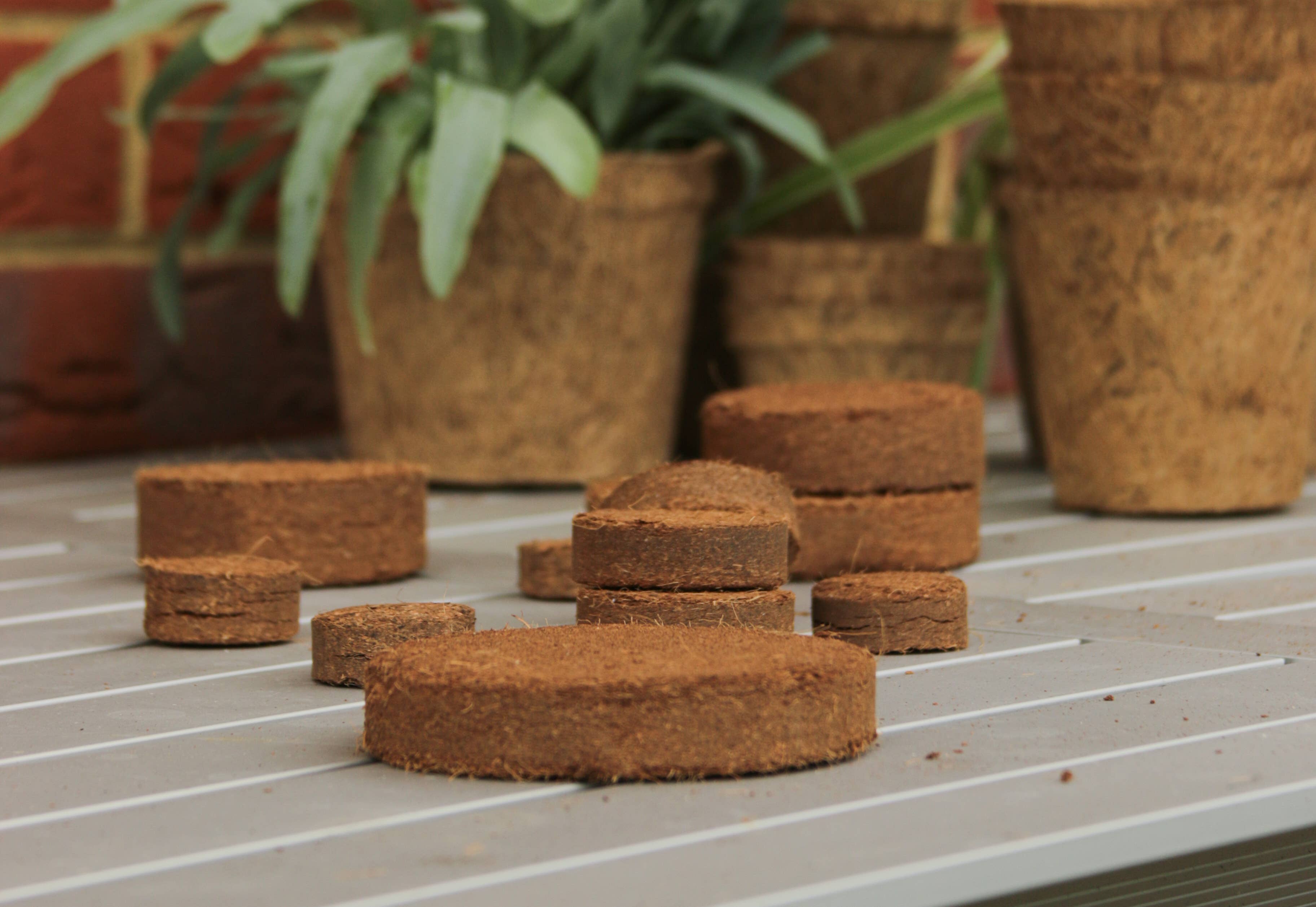 CoirProducts.co.uk of Salike Limited – wholesale Planting/potting soil – Coir discs 75-80mm CoirProducts CPUK10