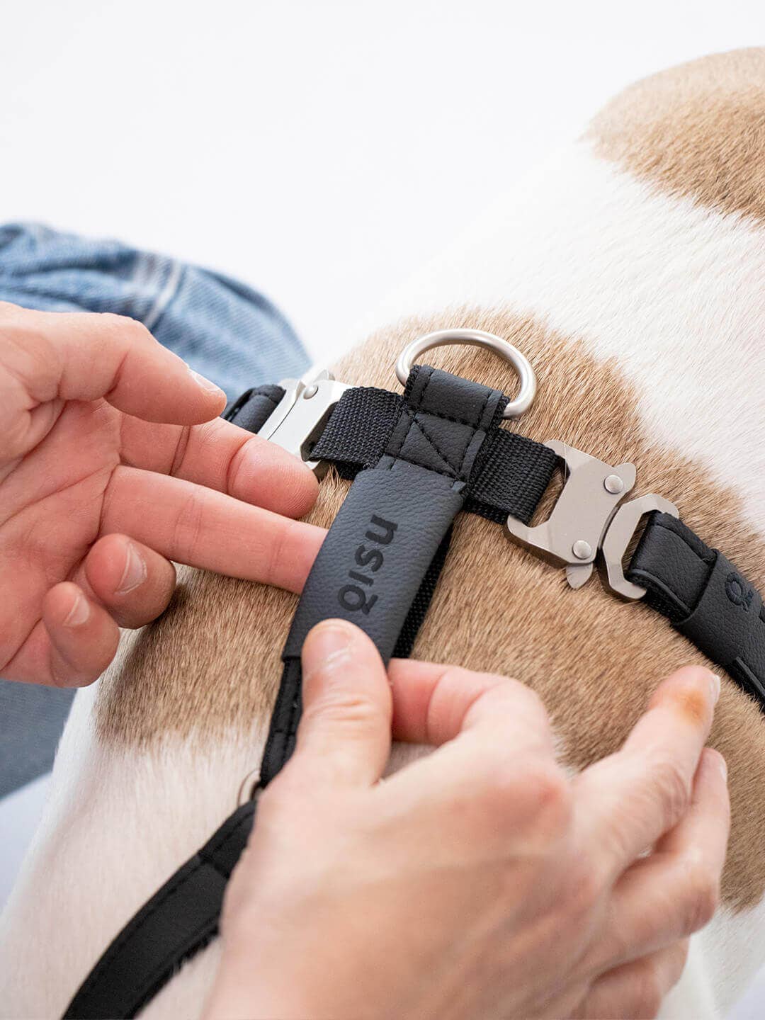 Qisu – Großhandel Haustiergeschirr – Hund – Hundegeschirr | Air Collection1