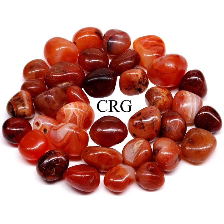 1 KILO LOT - Carnelian SUPER Tumbled from India / 10-30MM AV for wholesale by Crystal River Gems LLC