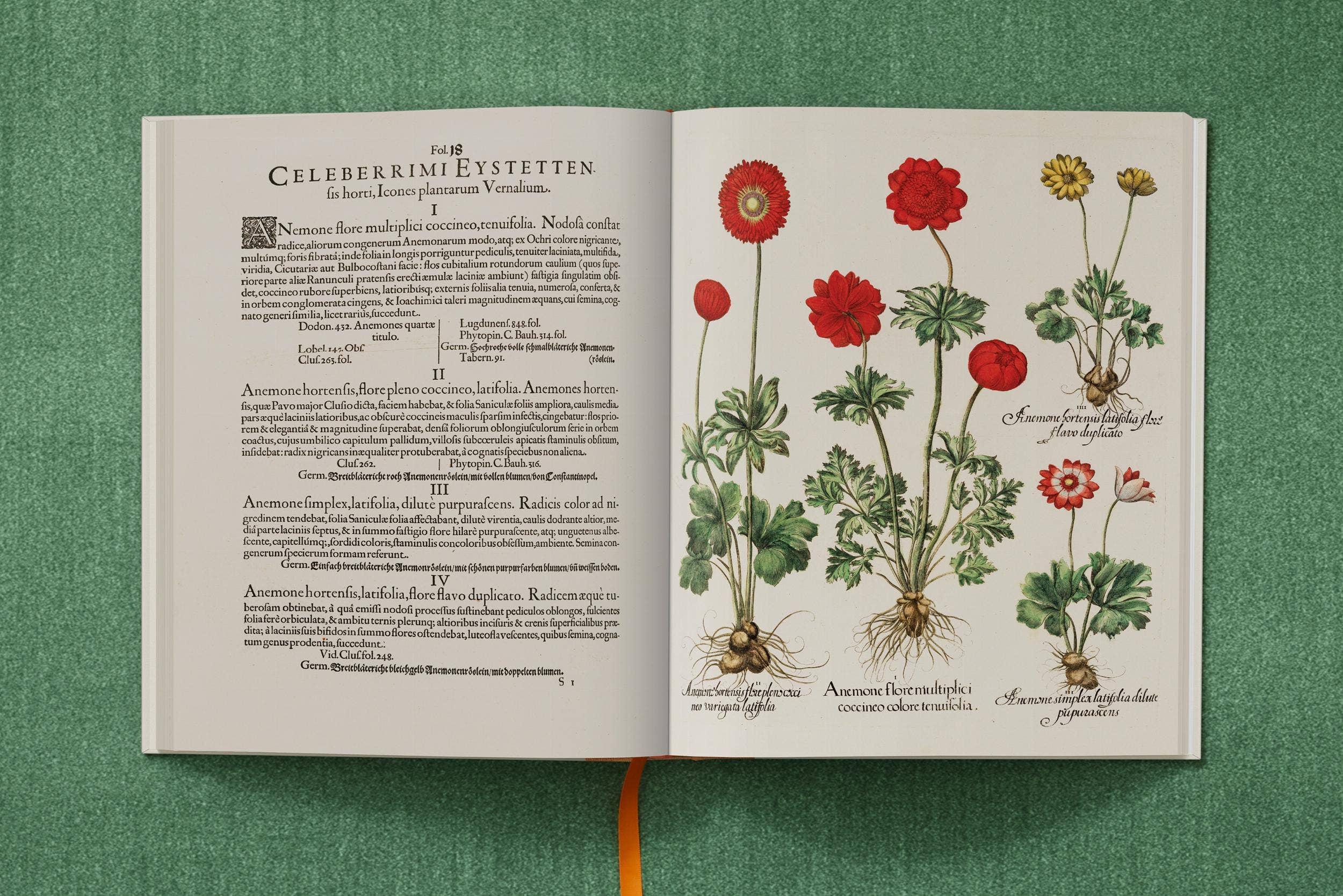 TASCHEN Europe – wholesale Nature & outdoors book – Basilius Besler. The Garden at Eichstätt (German, French, English)4