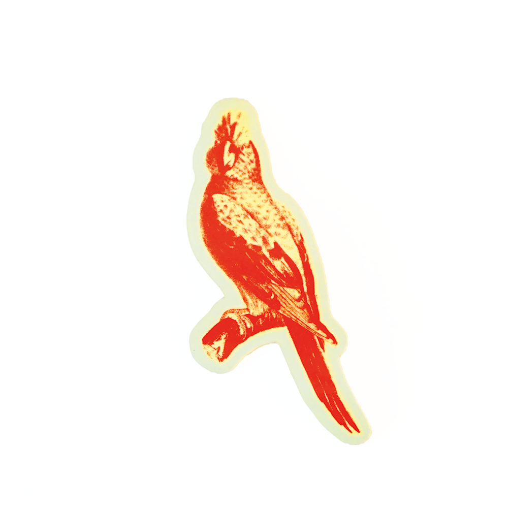 Atelier d’Albion – Großhandel Aufkleber – Stickerpack Tiere4