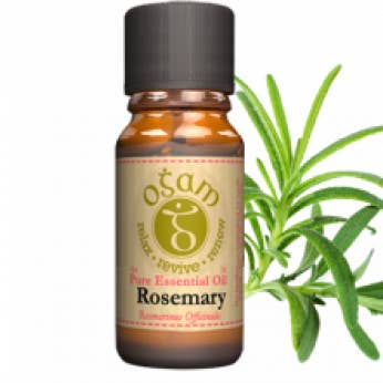 Romarin pour la vente par Ogam Oils
