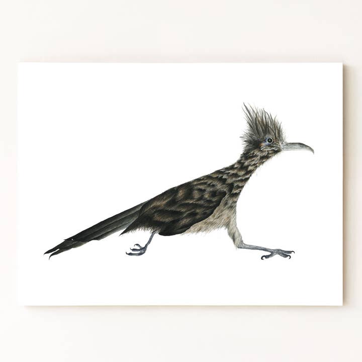 Greater Roadrunner Print for wholesale by Jess Vartanian Illustration & Design