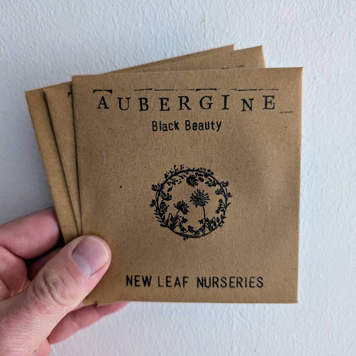 Aubergine 'Black Beauty' Seeds for wholesale by New Leaf Nurseries