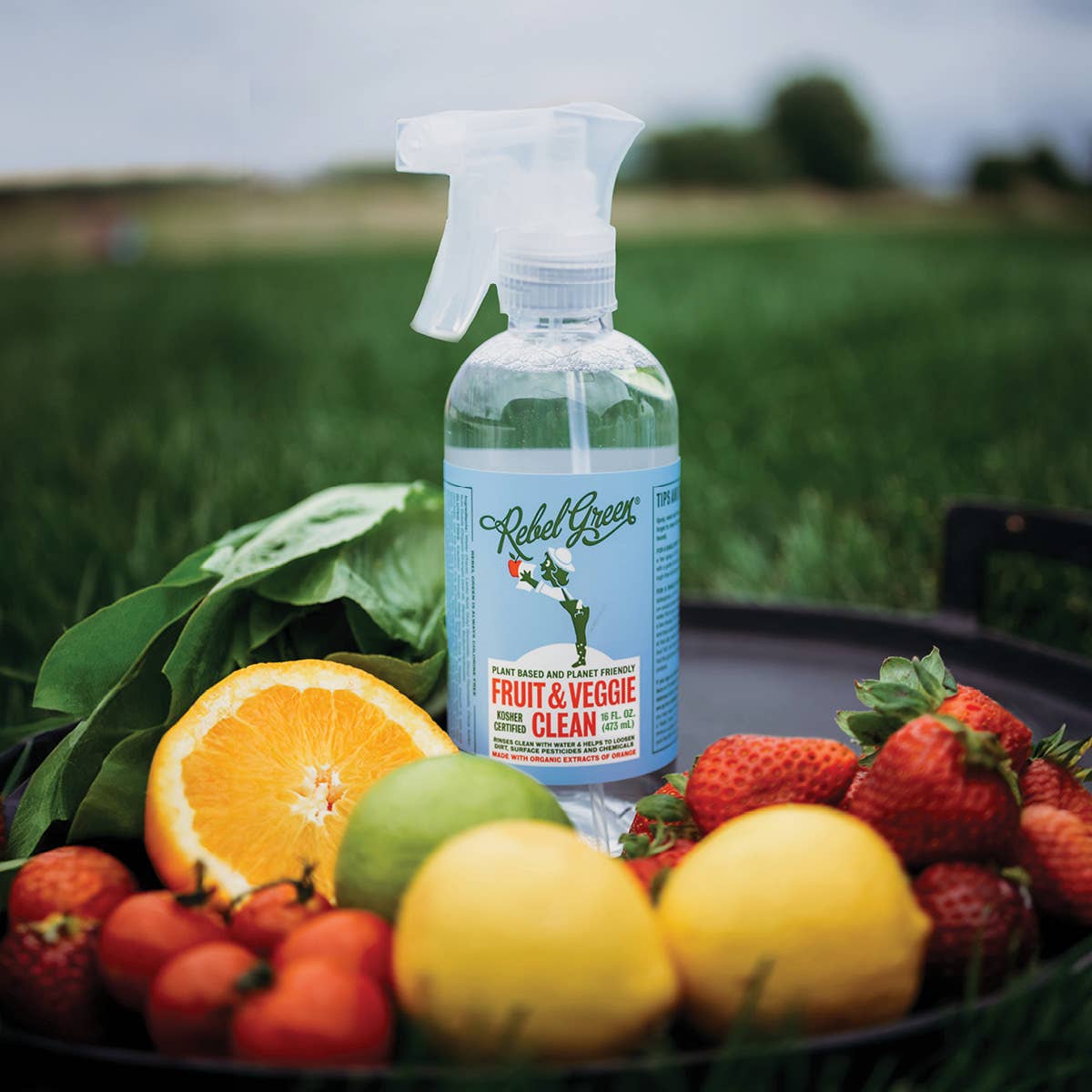 Rebel Green - Wholesale Spray Bottle - Fruit & Veggie Clean 16oz Spray2