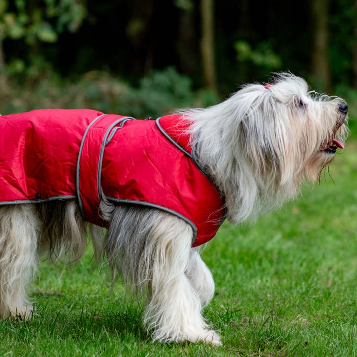 Ancol Pet Products Ltd - Wholesale Pet Coat - Dog - Stormguard All weather Coat : Poppy Red7