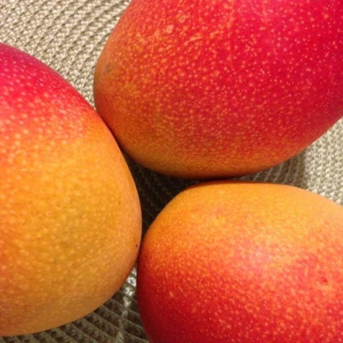 The Grateful Tea Co - Vente Thé en vrac - Mélange de tisanes en vrac Curcuma Sunrise, (4 tailles)6