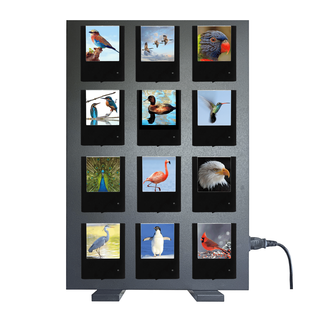 Nightlight Studio - Vendita all'ingrosso Espositore per rivenditori - Esposizione di Luci Notturne - 12 Posti *ACQUISTO MINIMO RICHIESTO*4