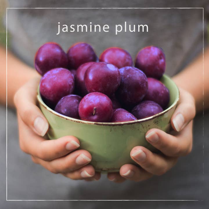 Mangiacotti - Wholesale Hand Sanitizer - Jasmine Plum Hand Sanitizer3