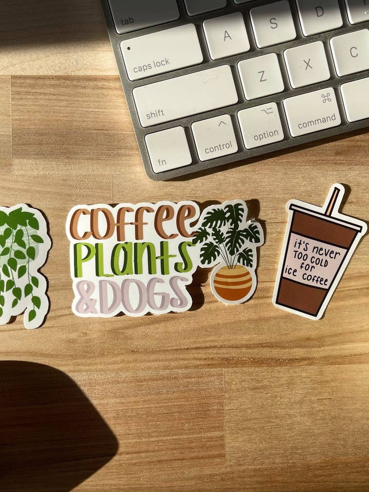 Paquete de café y plantas para venta al por mayor de Coffee & Good Reads
