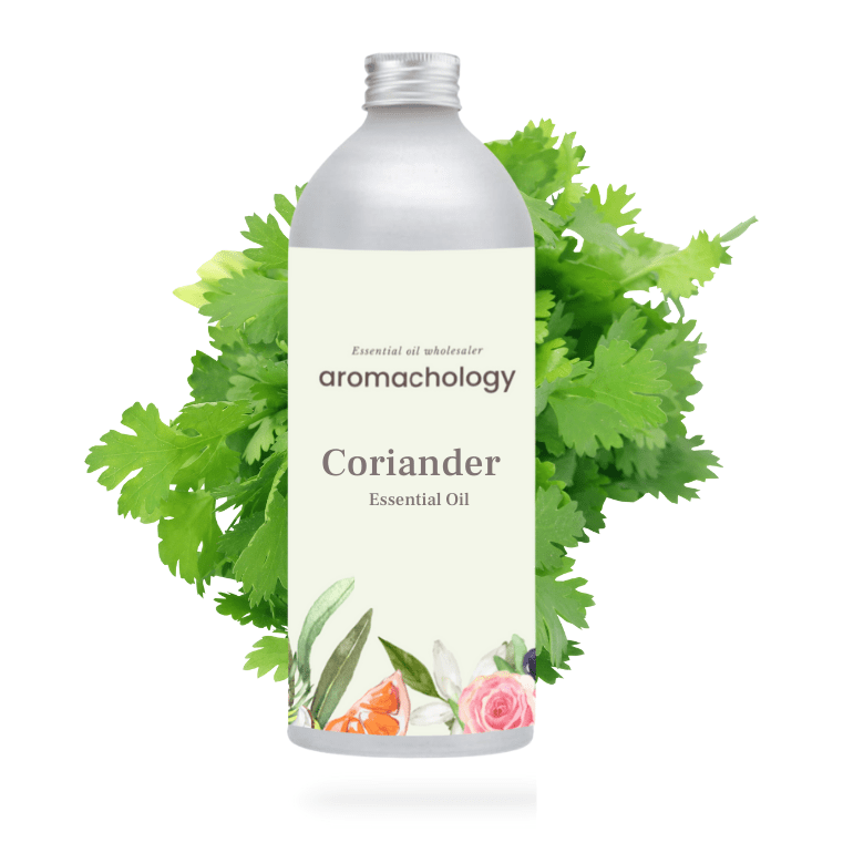 Aromachology - Wholesale Essential oil - Coriander Essential Oil2