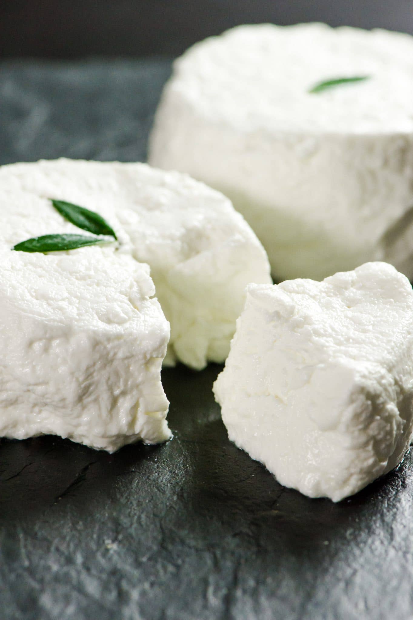 Sanilac Creamery - Wholesale Cheese - City Goat Cheese 4oz.1