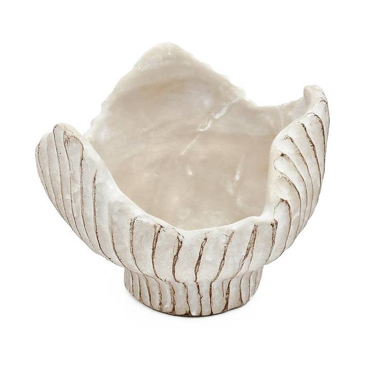 A&B Home Group Inc. - Wholesale Plant Pot - 7.5x7.3x5.5" Sand and Cement Clam Shell Planter Beige3