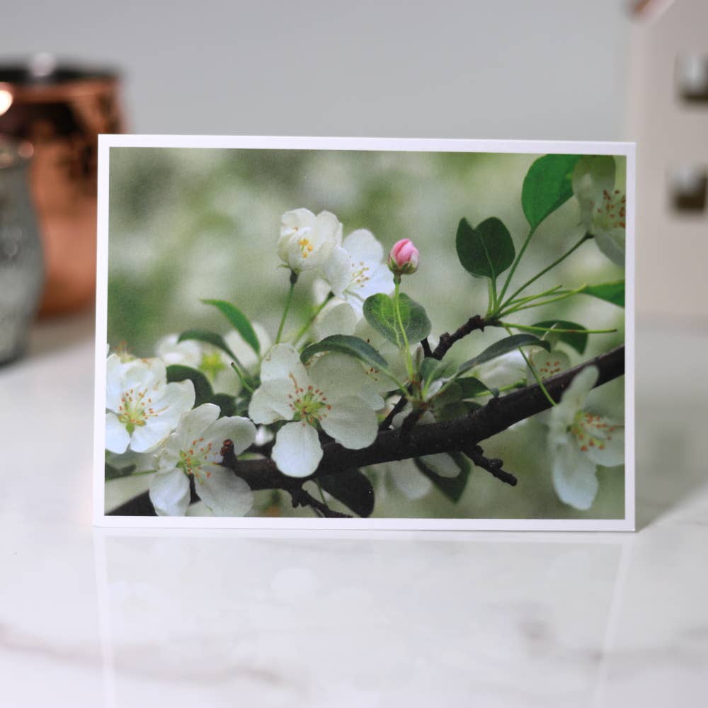 New England Prints - Wholesale Stationery/Notecard Set - Box of 5 All Occasion Spring Blossom Blank Note Cards6