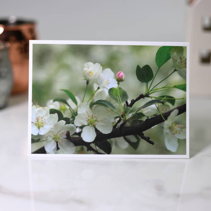 New England Prints - Wholesale Stationery/Notecard Set - Box of 5 All Occasion Spring Blossom Blank Note Cards6