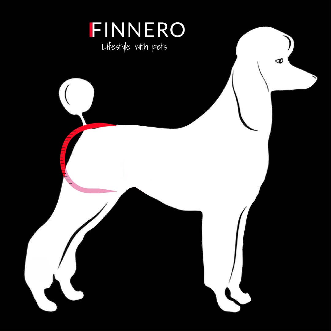 FINNERO – wholesale Husdjursblöja - Hund – FINNERO Ballerina hundhygienbyxor, 5 färger, tvättbara14