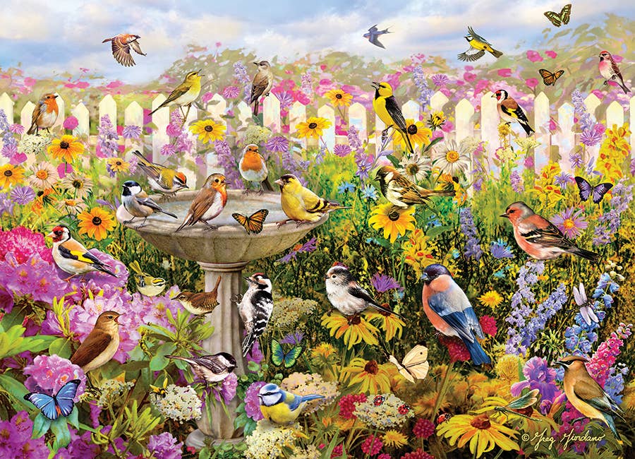 Outset Games and Cobble Hill Puzzles - Vente Puzzle – adulte - Puzzle de 1000 pièces : Bain d'oiseaux dans le jardin1