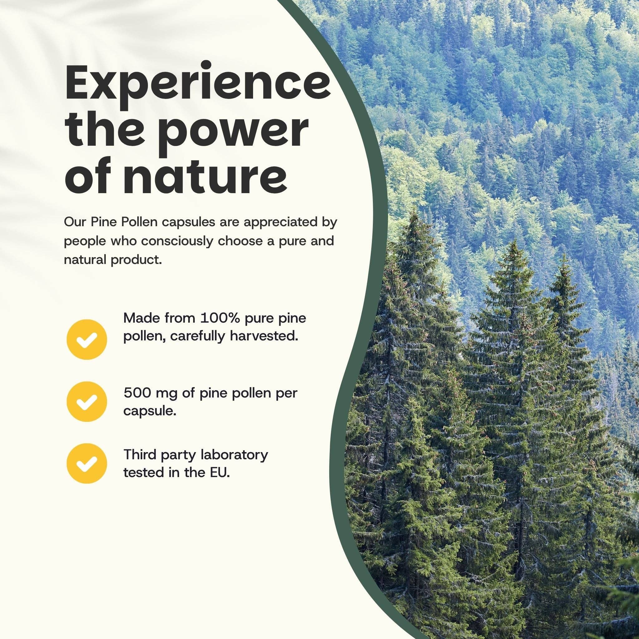 Cupplement b.v. - Wholesale Voedingssupplement/vitamine - Dennenkorrels Capsules 500mg 100 Capsules1