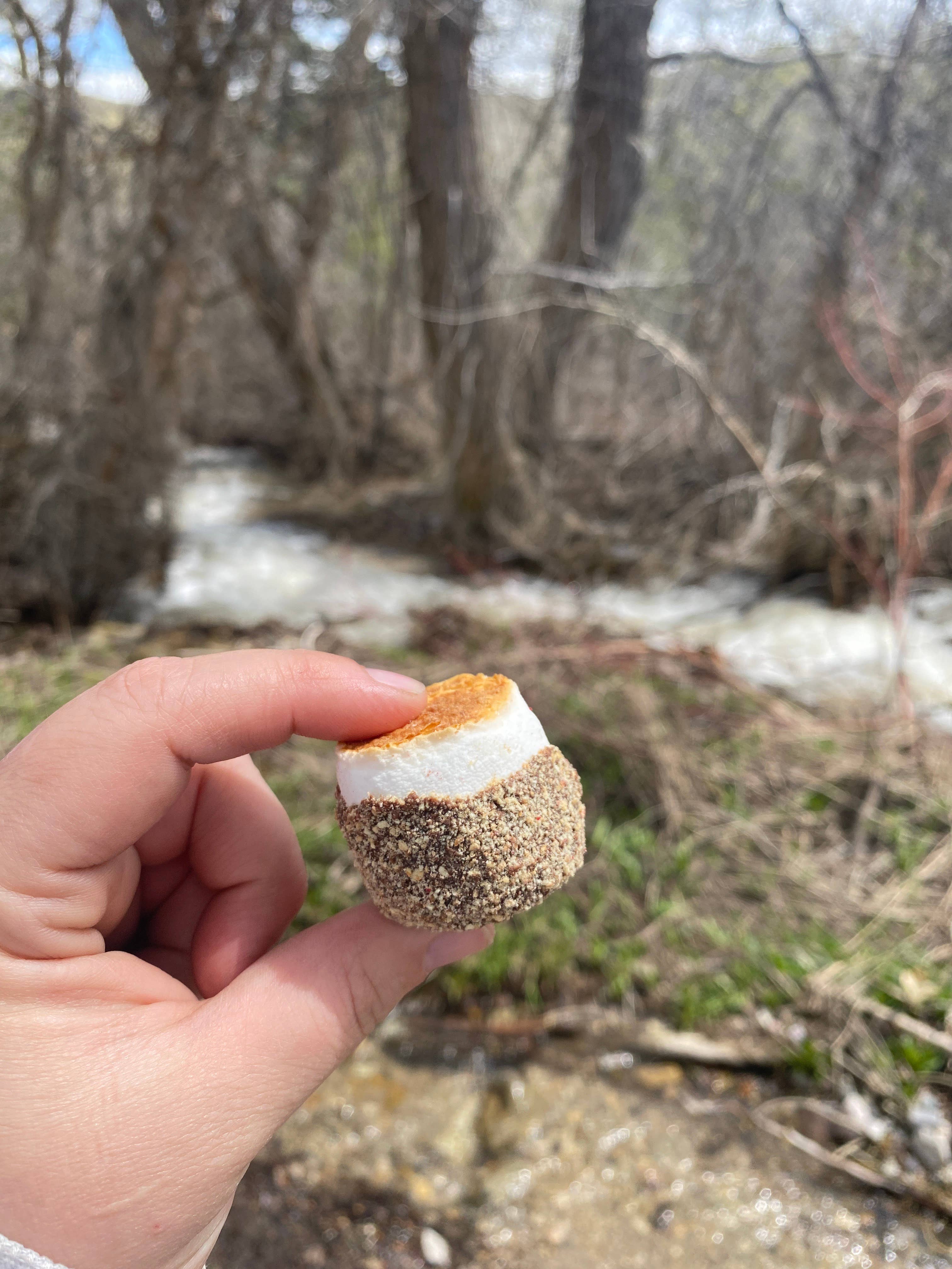 Base Camp Treats - Wholesale Chocolate Covered Sweets - Freeze Dried Fire Roasted S'mores3