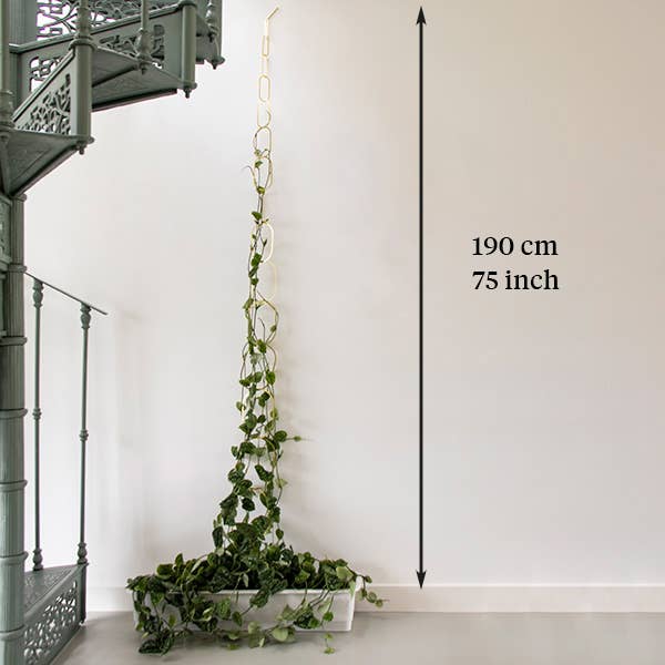 Botanopia - gifts , decor and cards for plant lovers - Wholesale Trellis - Gold Brass Chain - Plant Support for climbing plants12