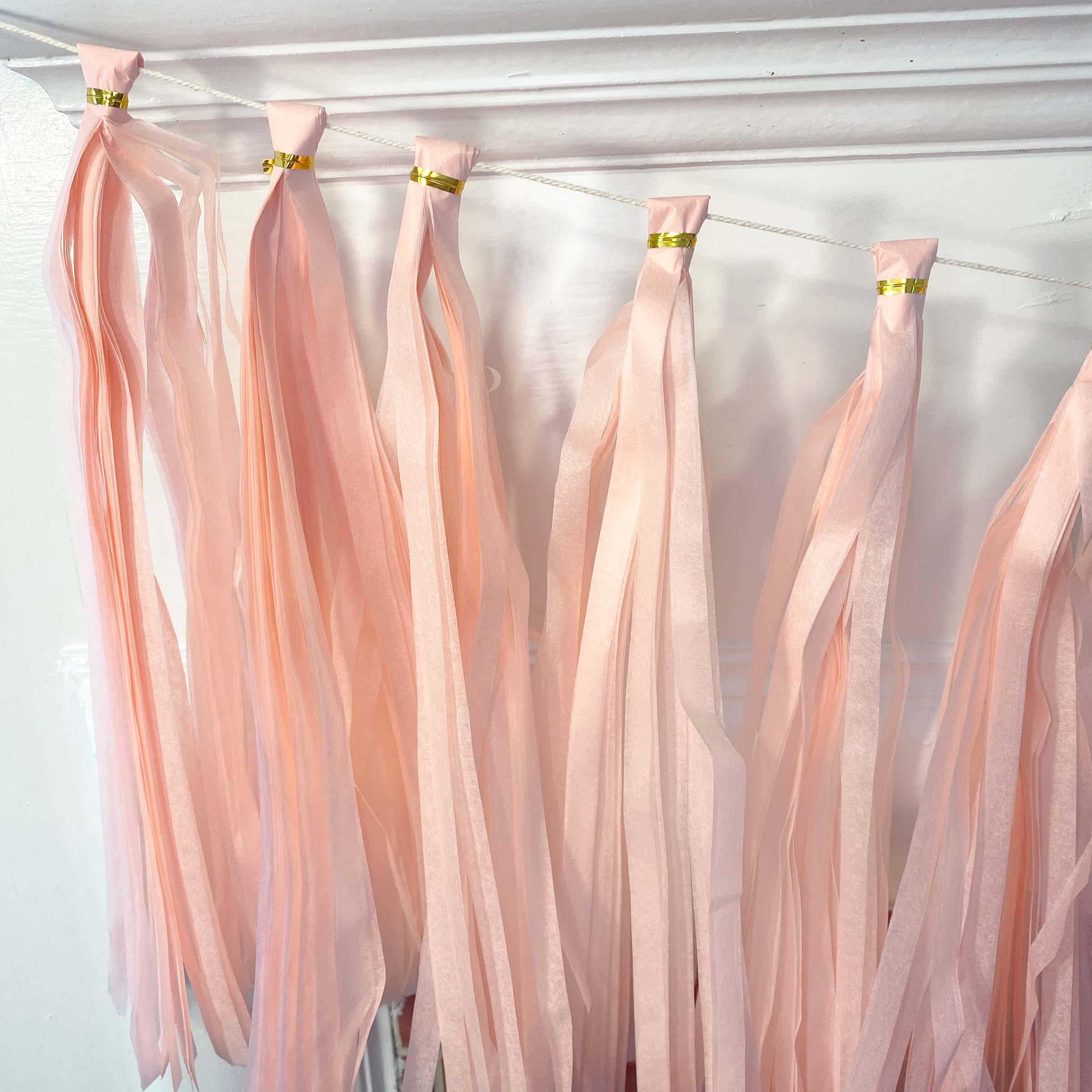 Ellie's Party Supply - Wholesale DIY Craft Kit - Pastel Pink Paper Tassel Tail - Tassel DIY Garland Kit2