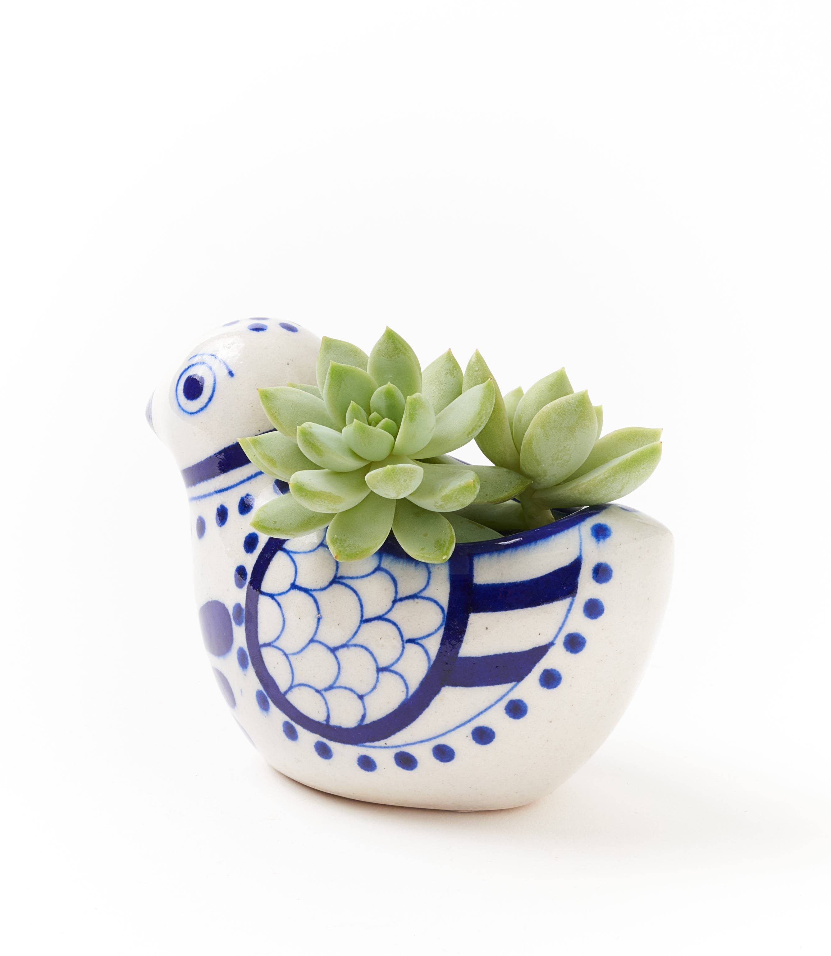 Matr Boomie Fair Trade - Vendita all'ingrosso Vasi per piante - Vaso succulento Lalita Bird, bianco, blu dipinto a mano1