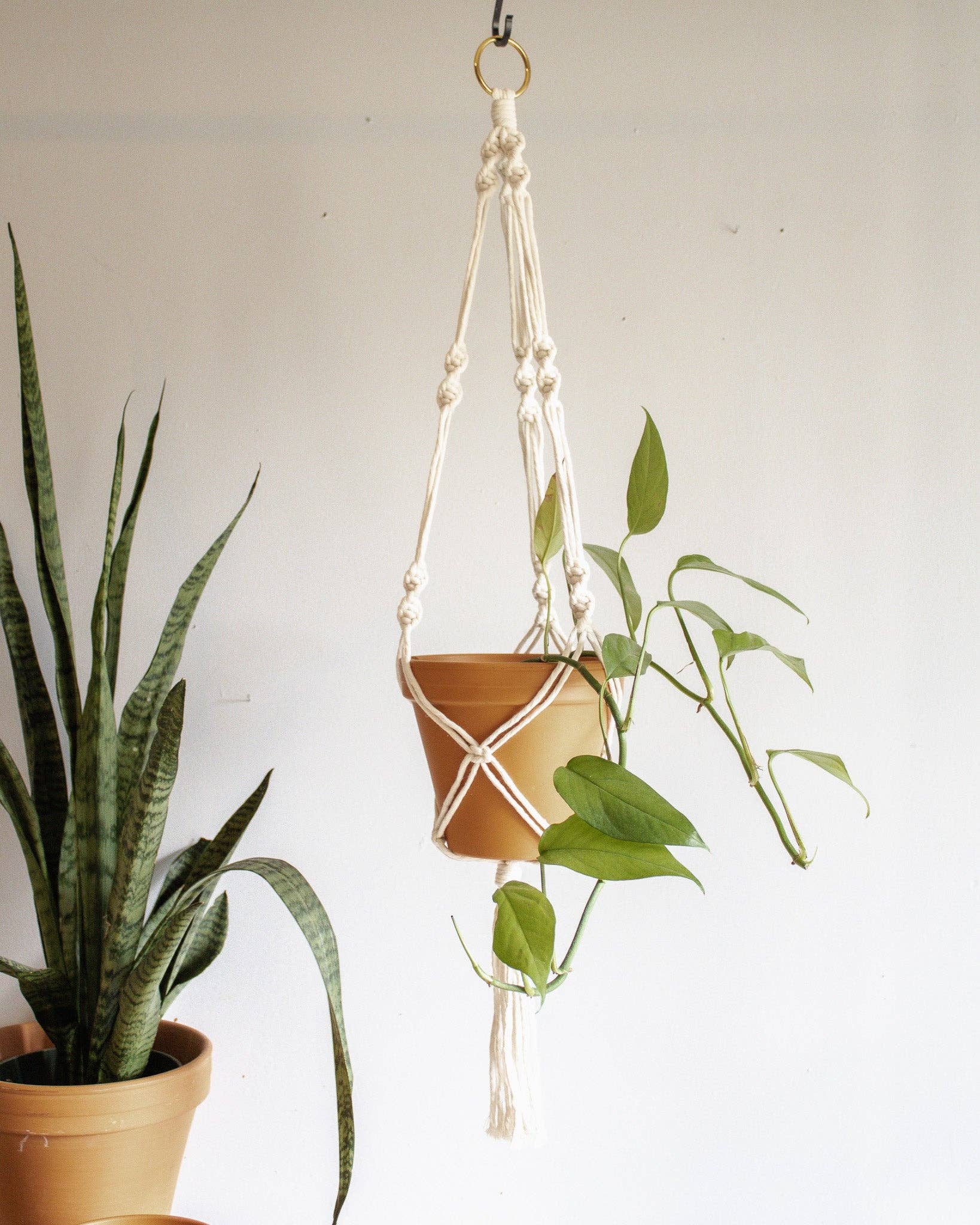 Modern Bo Studio – Vasos suspensos por atacado – Suporte para Planta em Macramê Simples com Torção1