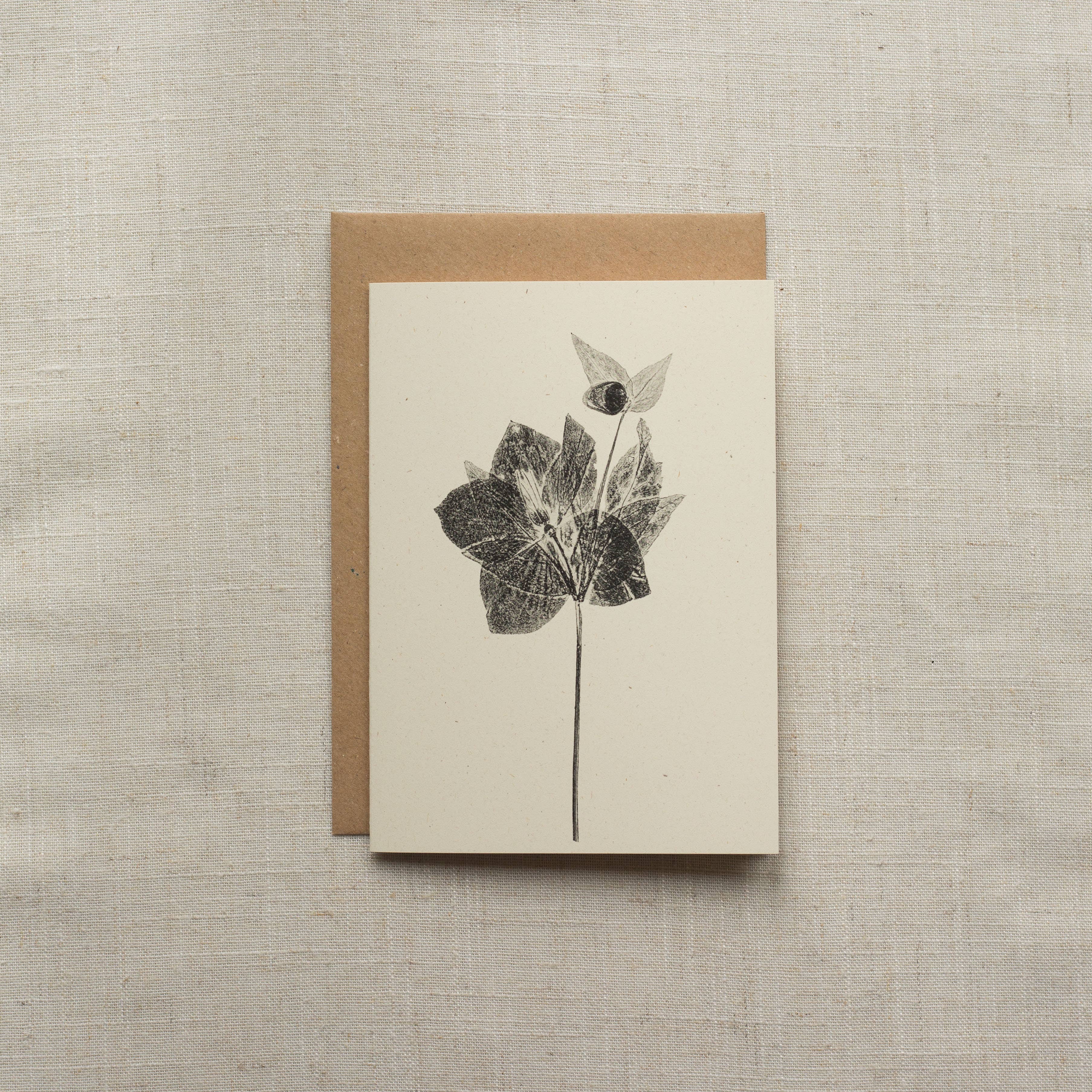 Alicia Breakspear - Wholesale Everyday Greeting Card - Hellebore Flower Greeting Card A6 Recycled Card 1