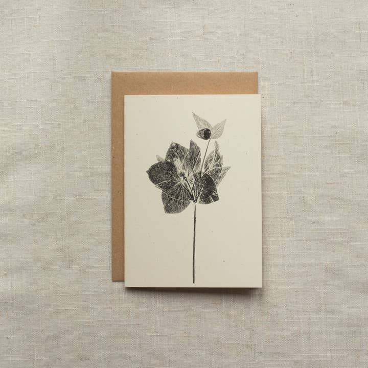 Alicia Breakspear - Wholesale Everyday Greeting Card - Hellebore Flower Greeting Card A6 Recycled Card 1