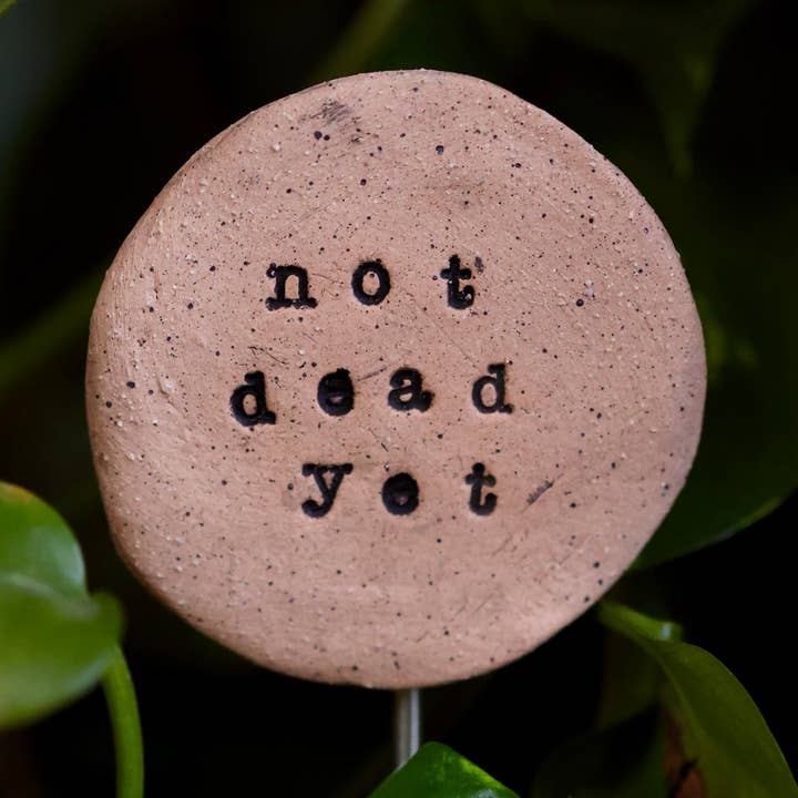 Mud & Maker - Vente Piquets de jardin/pelouse - Plant Buddies - Texte - Pas encore mort0