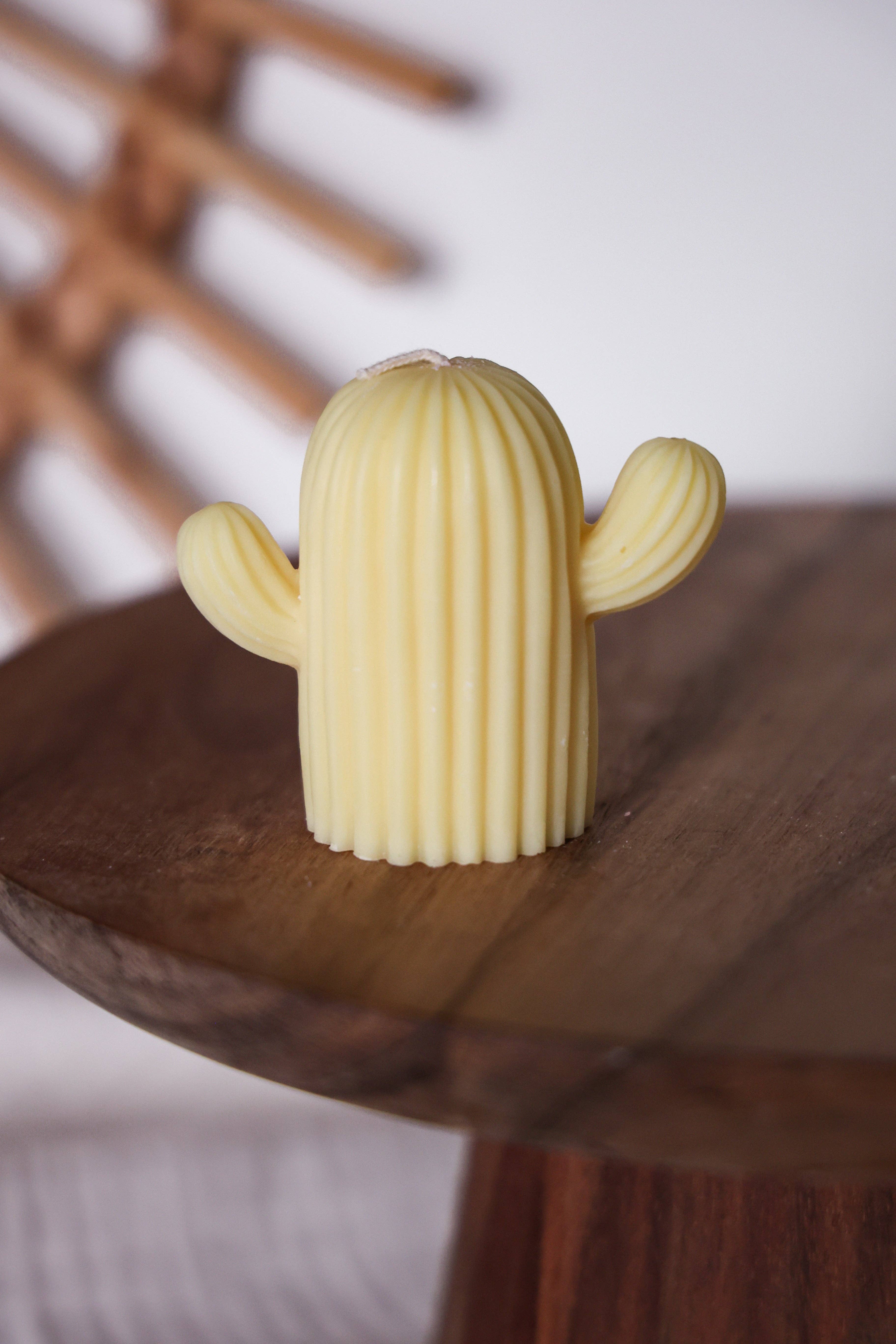 Niki Candle - Wholesale Novelty Candle - cactus3