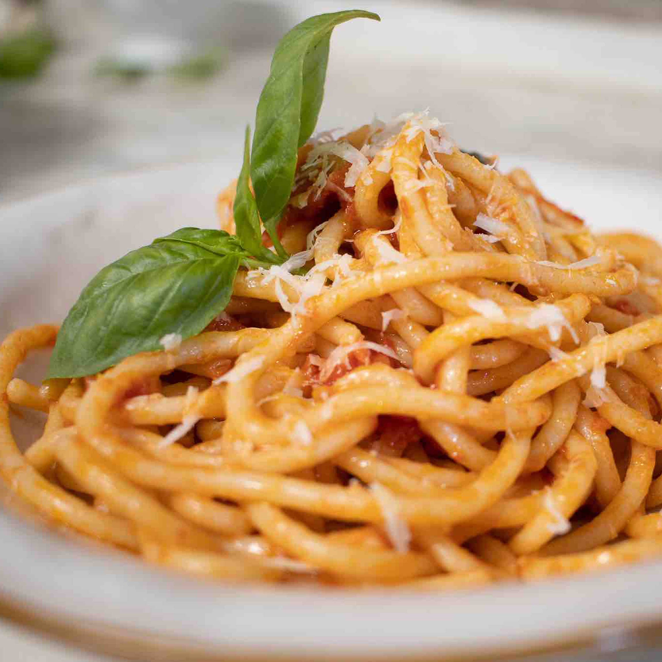 Morelli Pasta - Wholesale Pasta - Organic Pici Pasta - Gourmet Italian Pasta Nests1