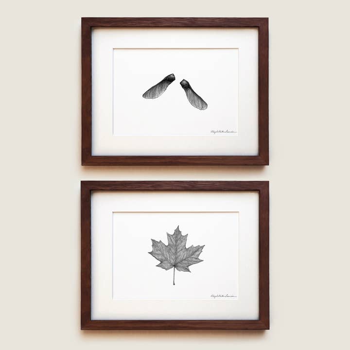 Sugar Maple | Fine Art Print Set for wholesale by ElizabethAnnFrancis