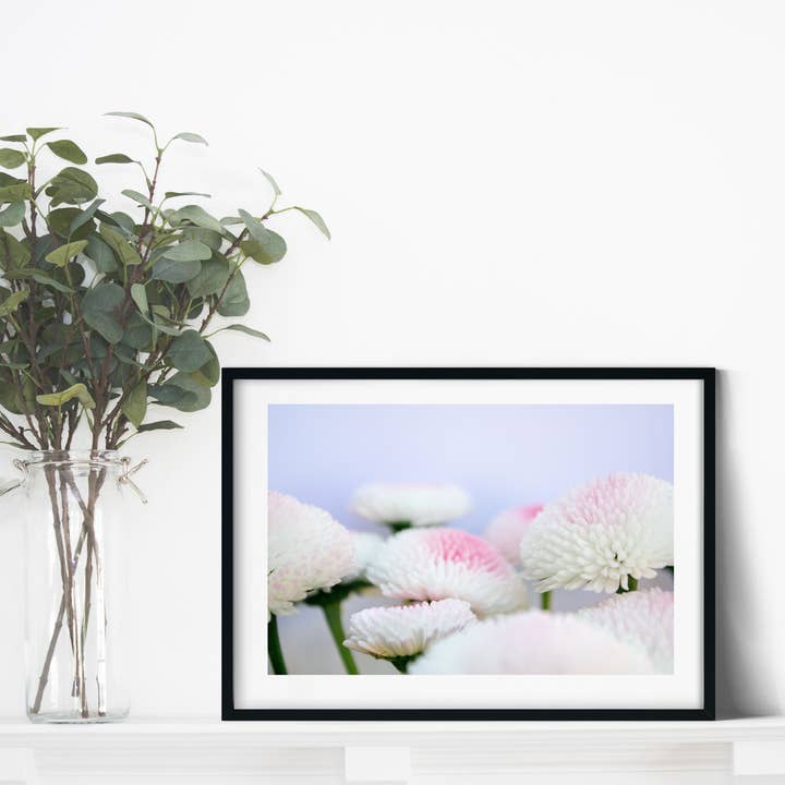 Inramad Bellis Blomma Fotografi för wholesale av Lelloliving