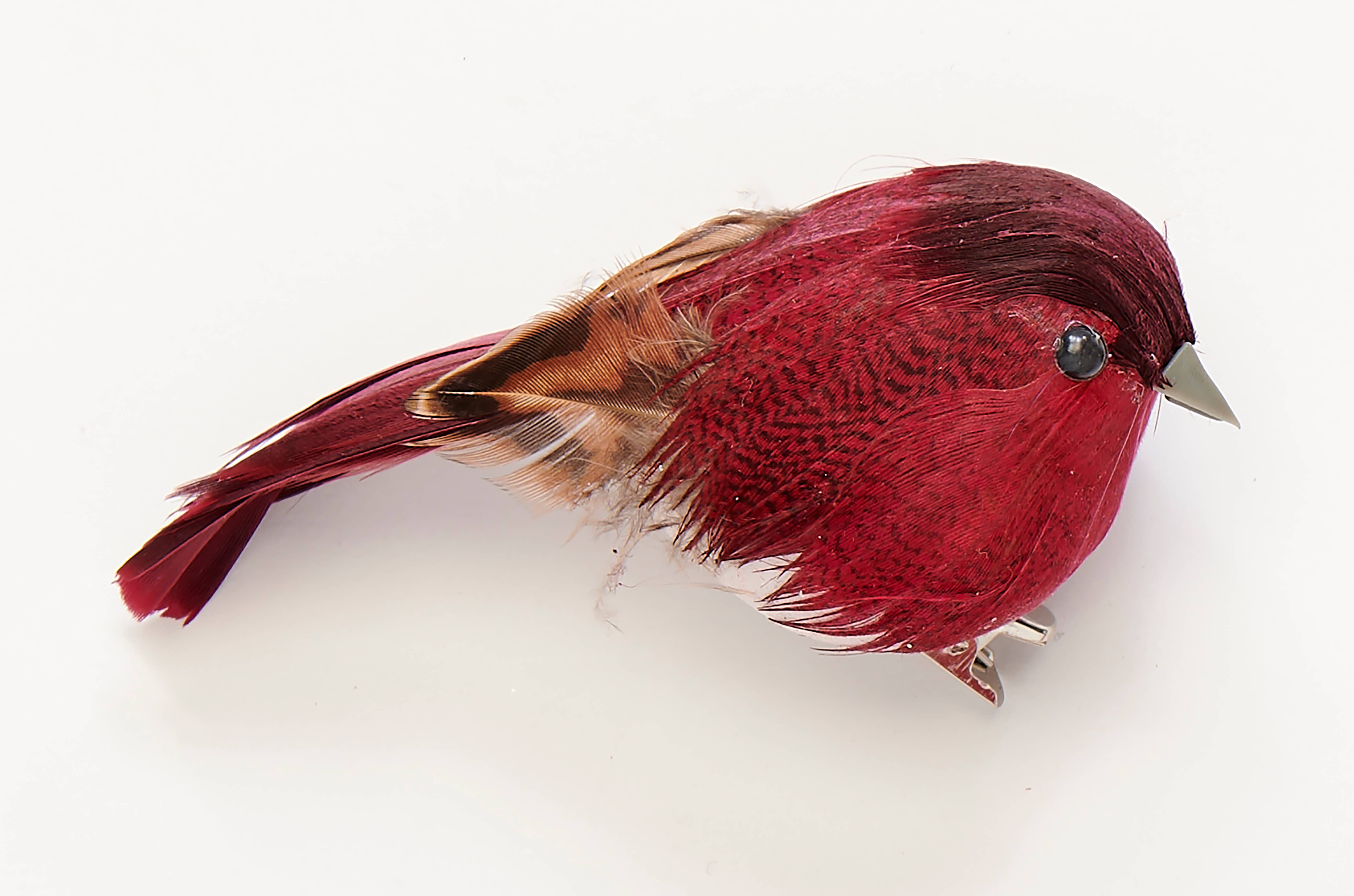 WORTH IMPORTS - Vente Objets de décoration - Oiseau à plumes de 3 po avec agrafe en métal0