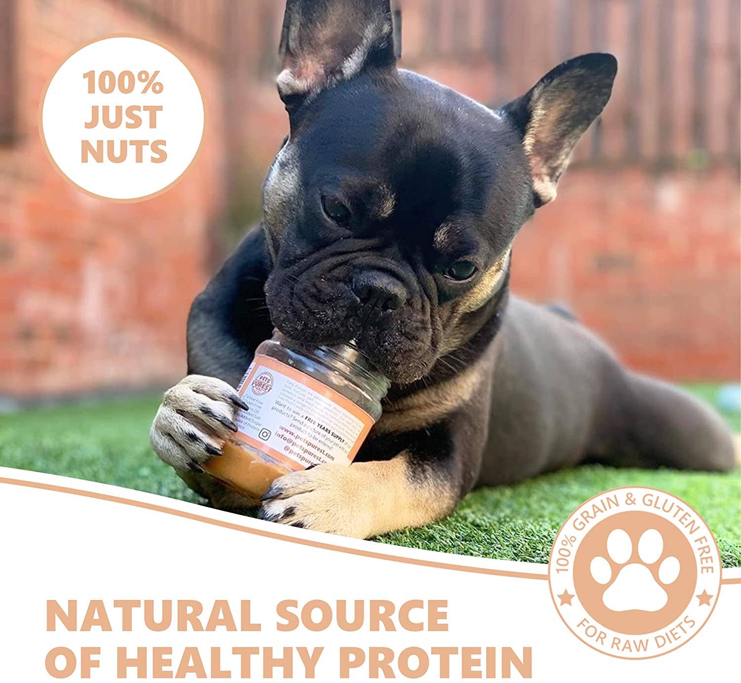 Pets Purest – wholesale Pet treats – Dog – Pets Purest Dog Peanut Butter - 100% Pure Nut Natural Peanut3