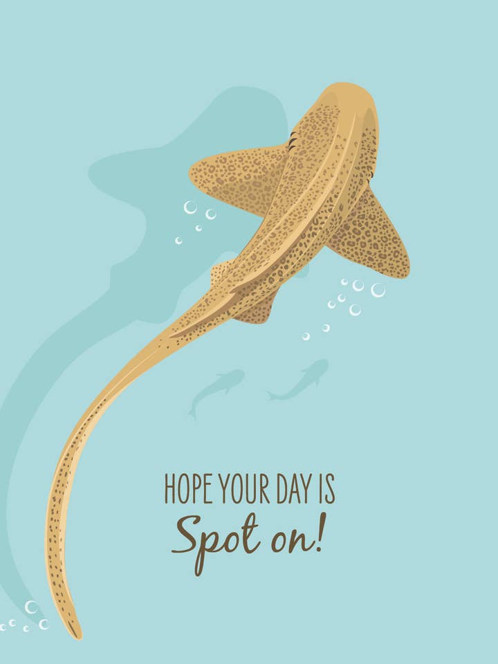 Autre carte - Requin léopard pour la vente par Sailfish Creative