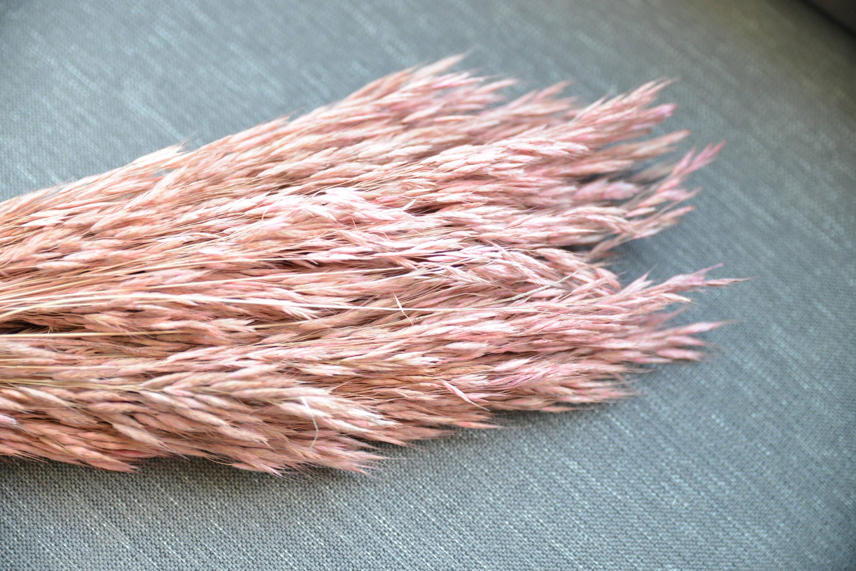 MY BOUQUETS - Vendita all'ingrosso Fiori secchi/pressati - Mazzo di pennacchio essiccato, rosa marrone, mazzo di avena arancione arrugginito, bouquet di fiori secchi, fiori da sposa, erba per composizioni floreali fai da te2