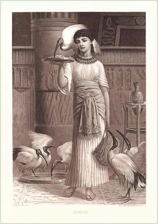 Found Image Press - Wholesale Stationery/Notecard Set - Greeting Card BD-317 Egyptian Woman with Sacred Ibises0