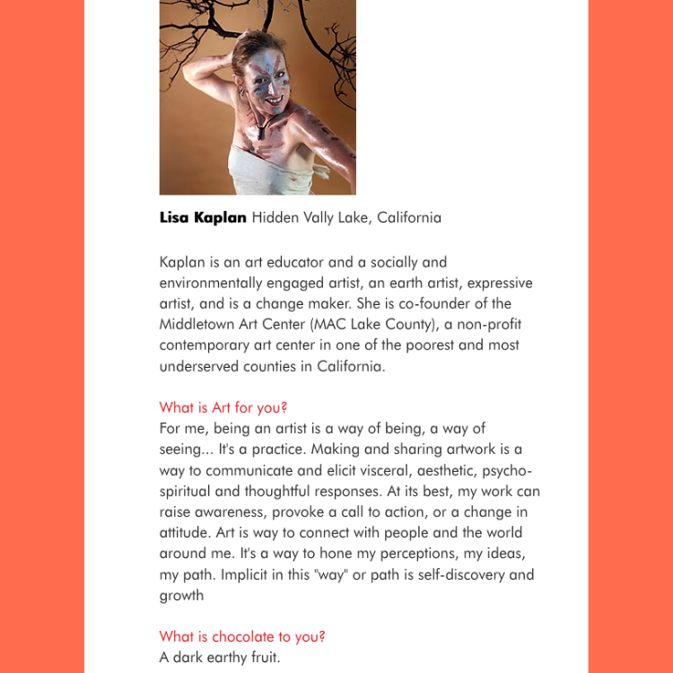 Dar Chocolate – wholesale Chocolate bar – Art Bars! Dark Coffee 90% Chocolate Bar Organic Vegan4